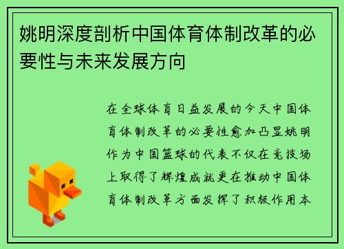 姚明深度剖析中国体育体制改革的必要性与未来发展方向
